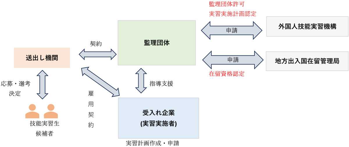 技能実習全体のイメージ図